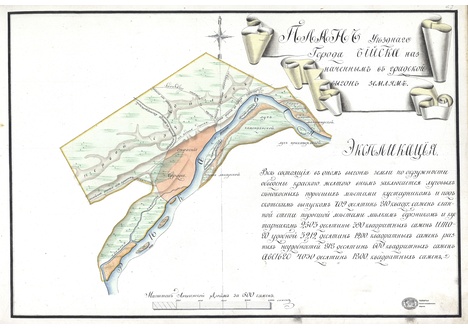 План уездного города Бийска назначенным в городской выгон землям